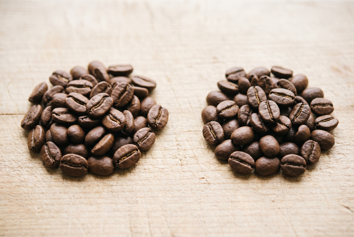 Grains de café arabica et robusta côte à côte