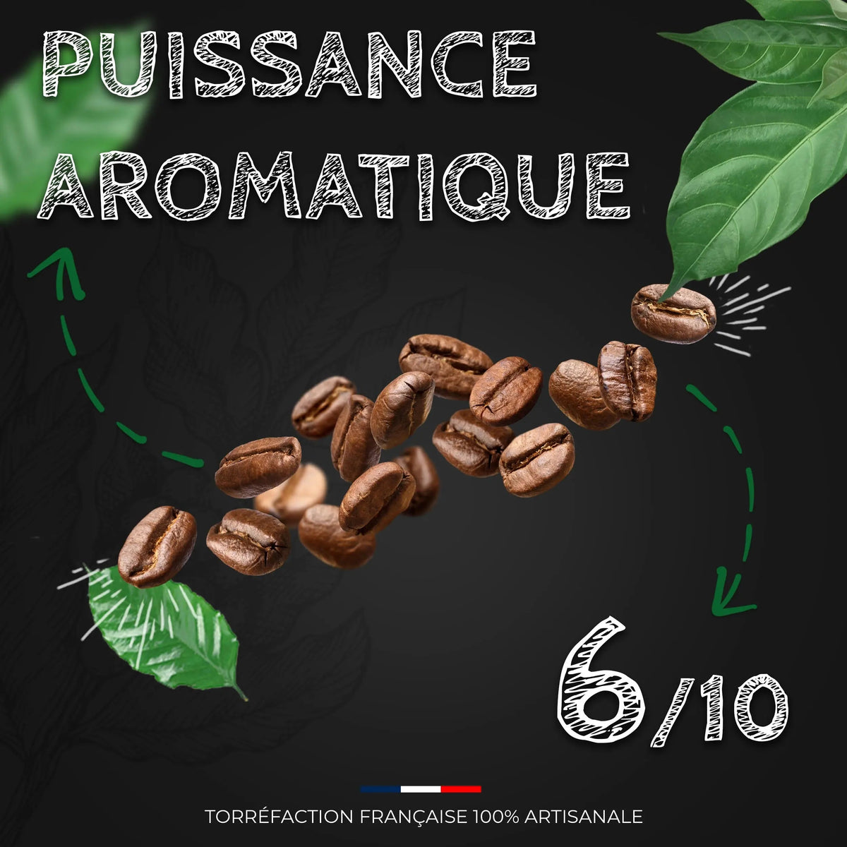 Café Kenya AA - 100% Arabica - Torréfaction Médium  Ti Cafew