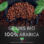 Moka Ethiopie Sidamo BIO - Café 100% Arabica - Torréfaction Médium 