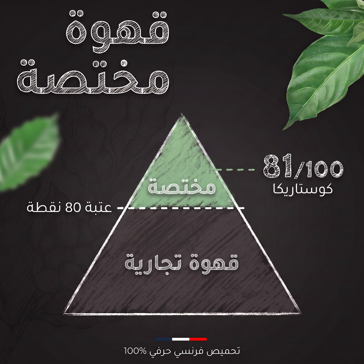 تقييم SCA لقهوة كوستاريكا SHB: 81 من 100، قهوة مختصة