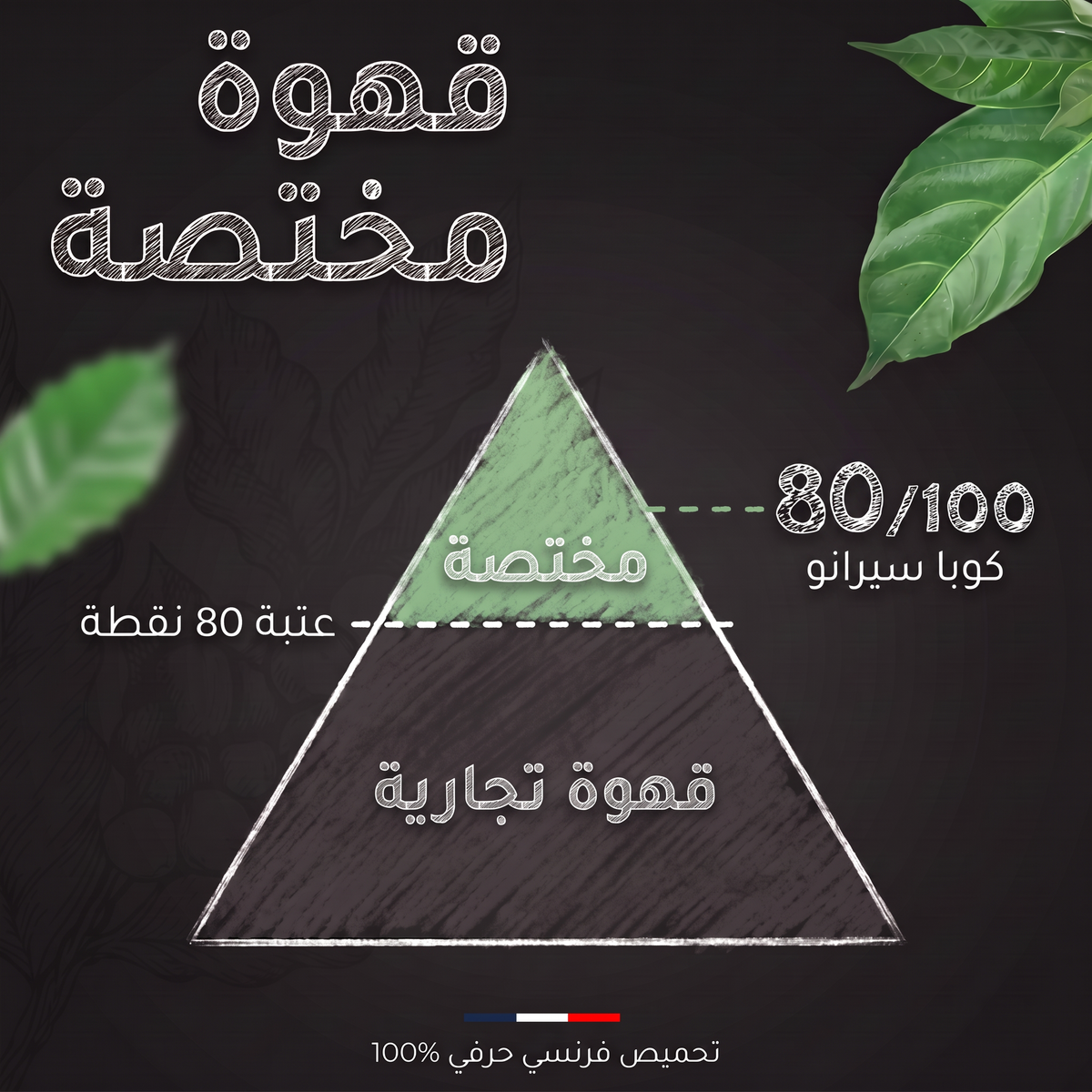تقييم SCA لقهوة كوبا سيرانو: 80 من 100، قهوة مختصة