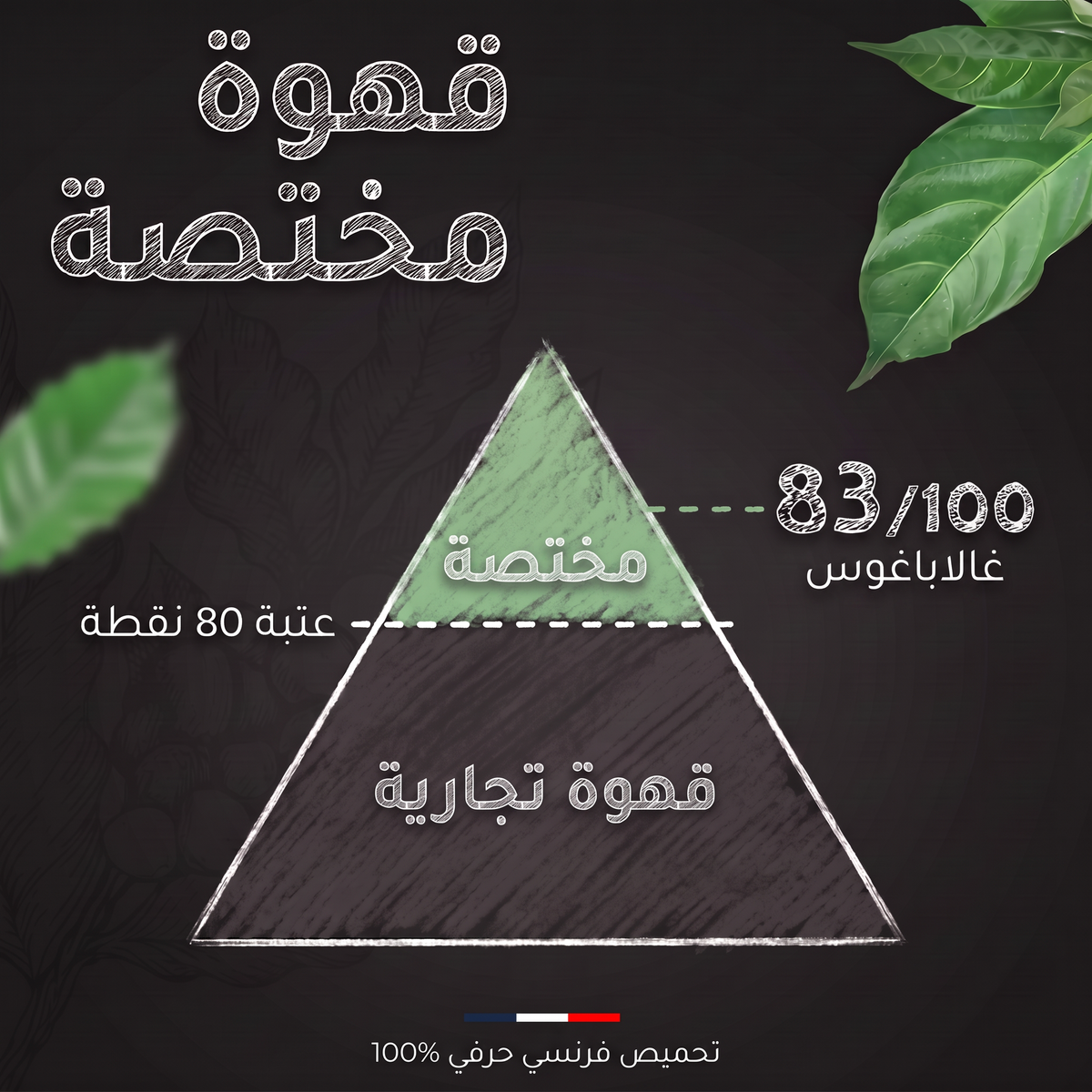 تقييم SCA لقهوة سان كريستوبال من جزر غالاباغوس عضوية: 83 من 100، قهوة مختصة