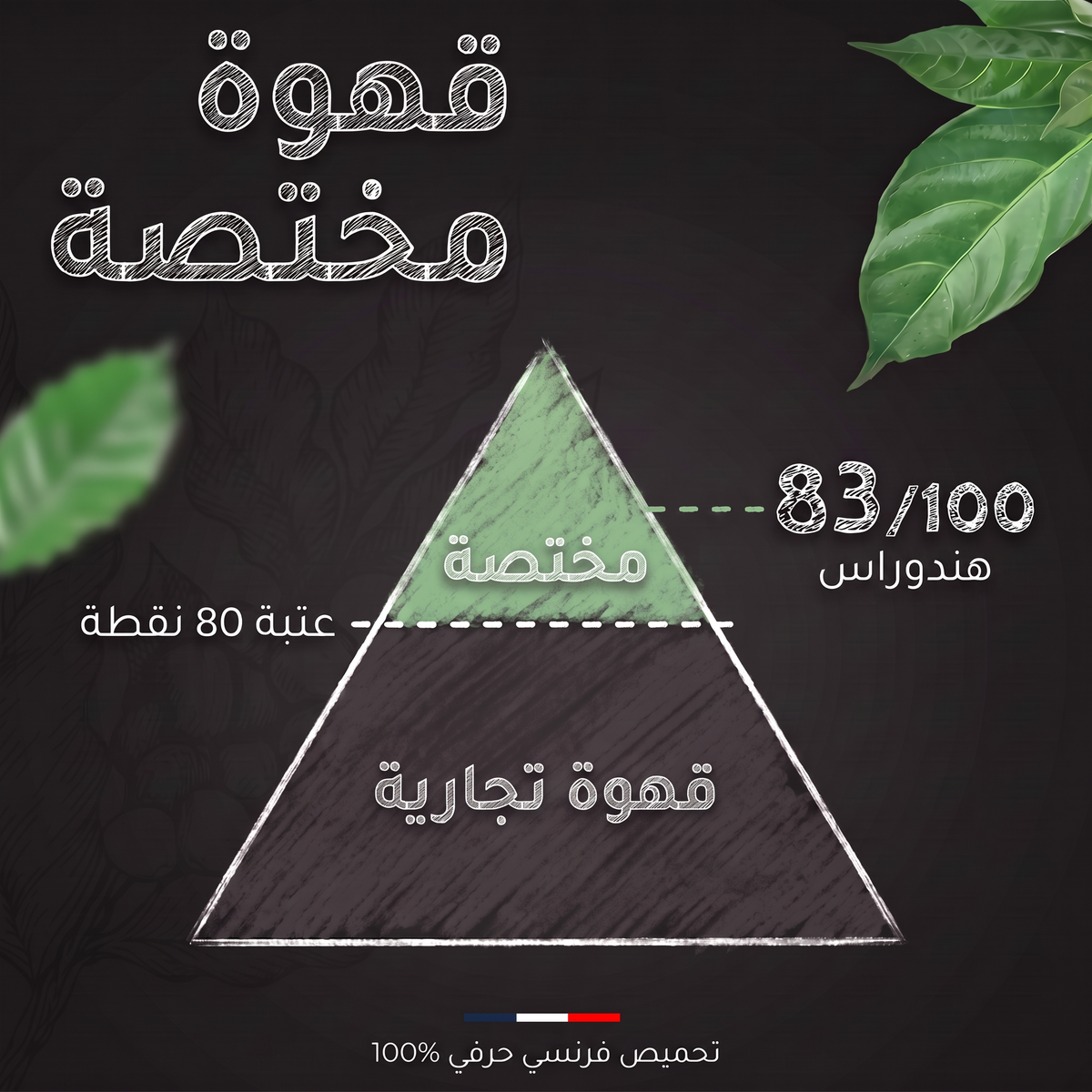 تقييم SCA لقهوة هندوراس SHB سانتا باربرا عضوية: 83 من 100، قهوة مختصة