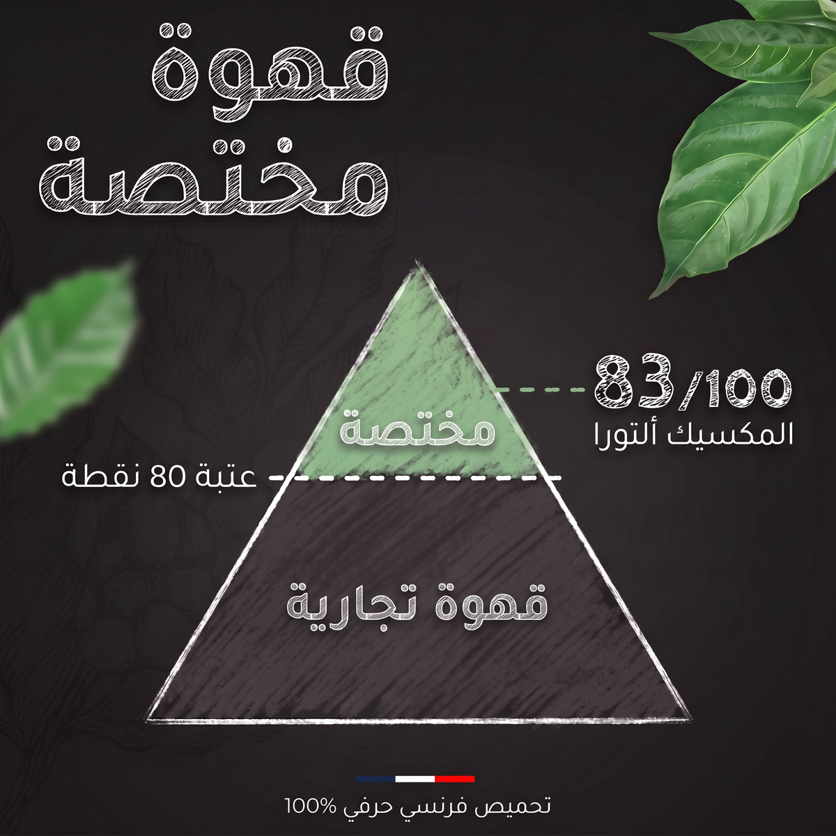 تقييم SCA لقهوة المكسيك ألتورا العضوية: 83 من 100، قهوة مختصة