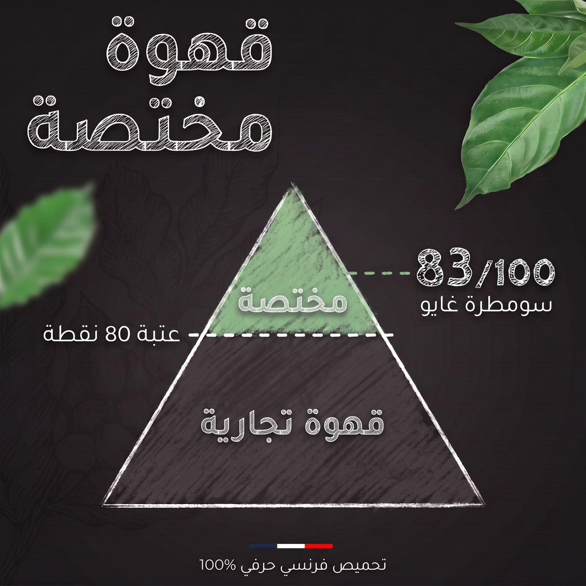 تقييم SCA لقهوة سومطرة غايو ماونتن عضوية: 83 من 100، قهوة مختصة