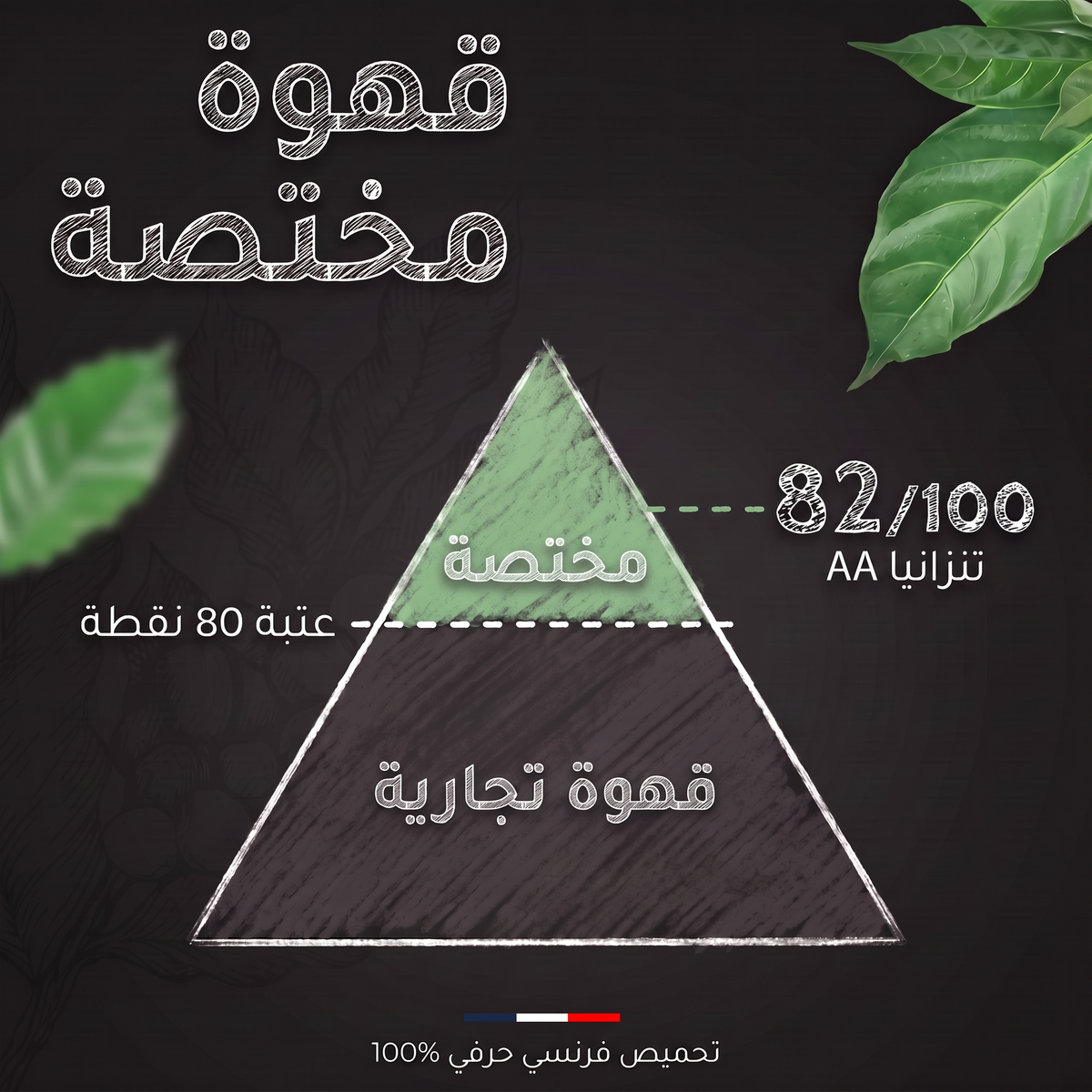 تقييم SCA لقهوة تنزانيا AA بوربون: 82 من 100، قهوة مختصة