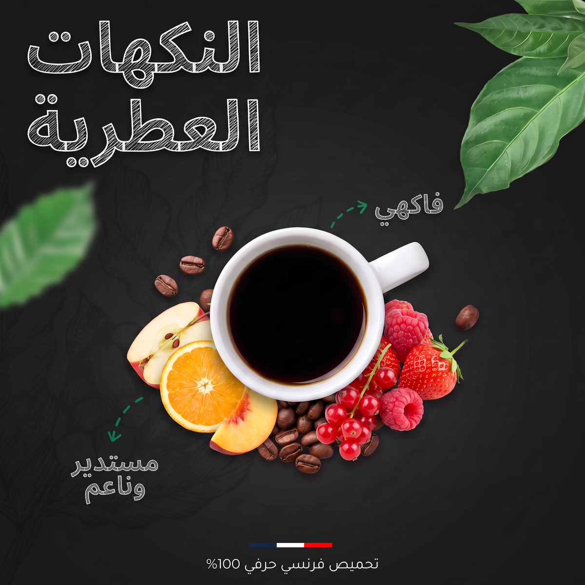 النكهات العطرية لقهوة كولومبيا إكسيلسو عضوية