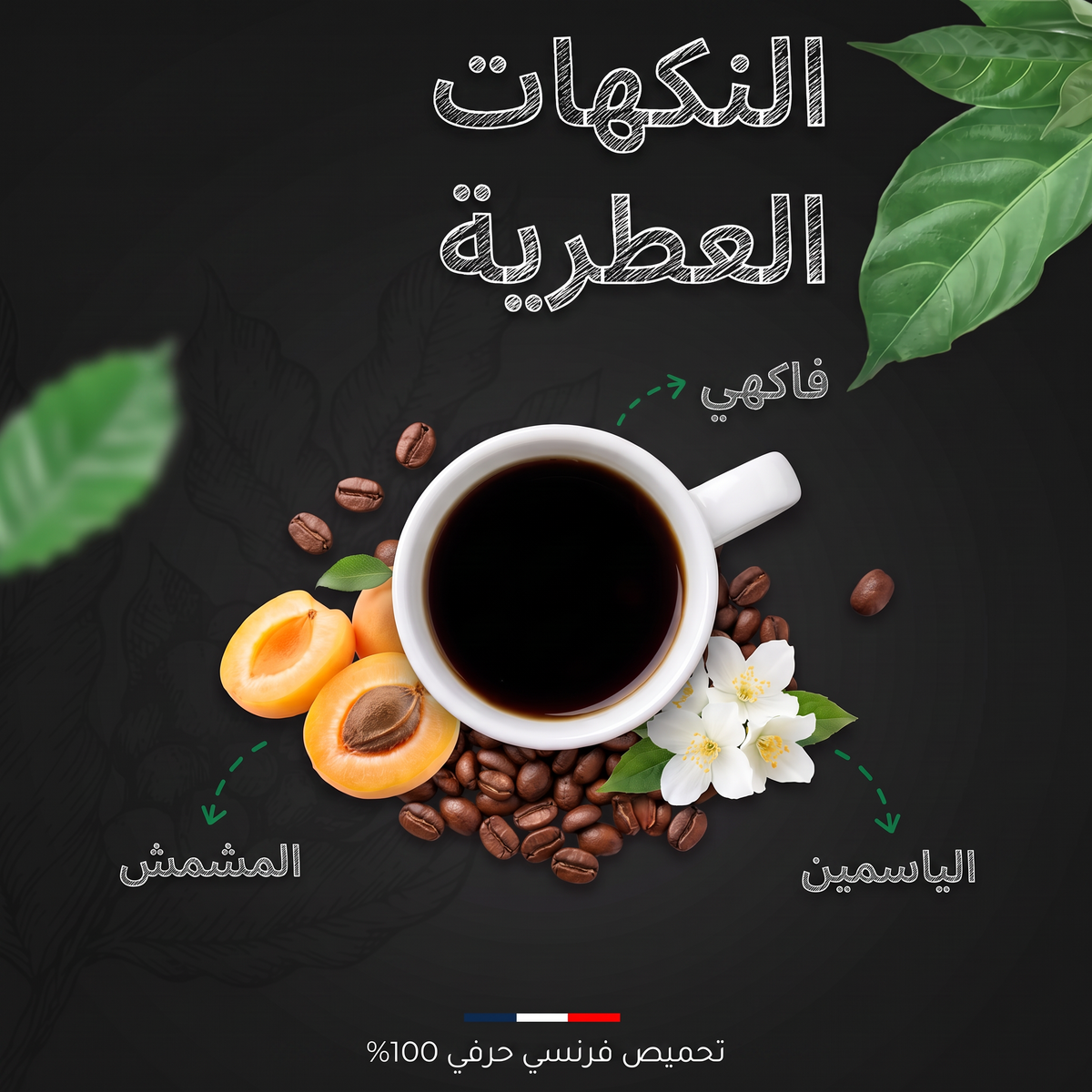 النكهات العطرية لقهوة موكا إثيوبيا سيدامو العضوية: المشمش والياسمين