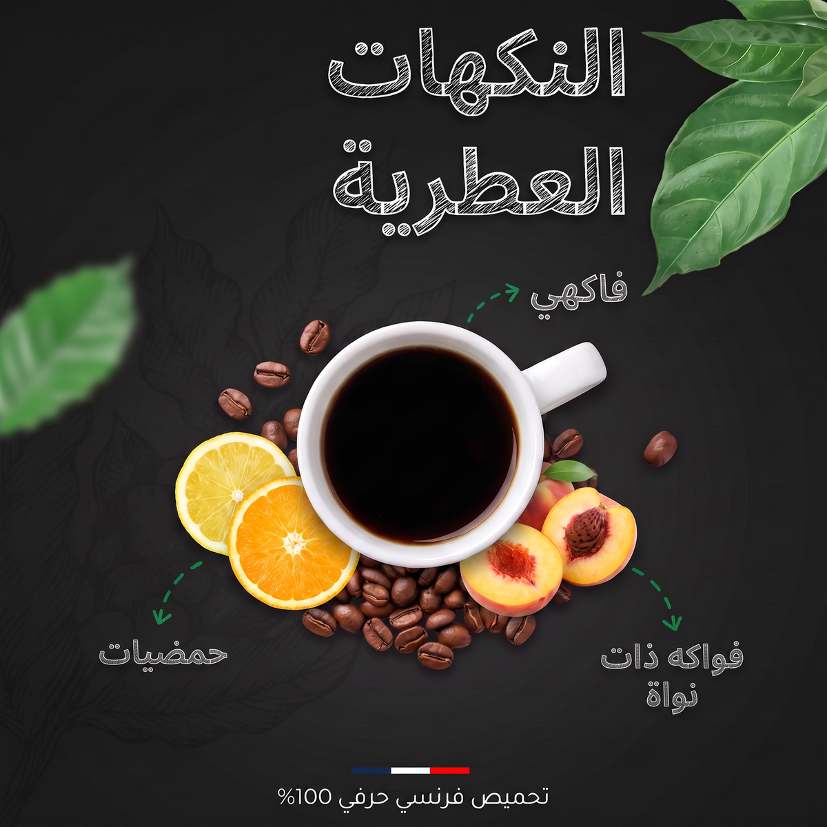 النكهات العطرية لقهوة سان كريستوبال من جزر غالاباغوس عضوية