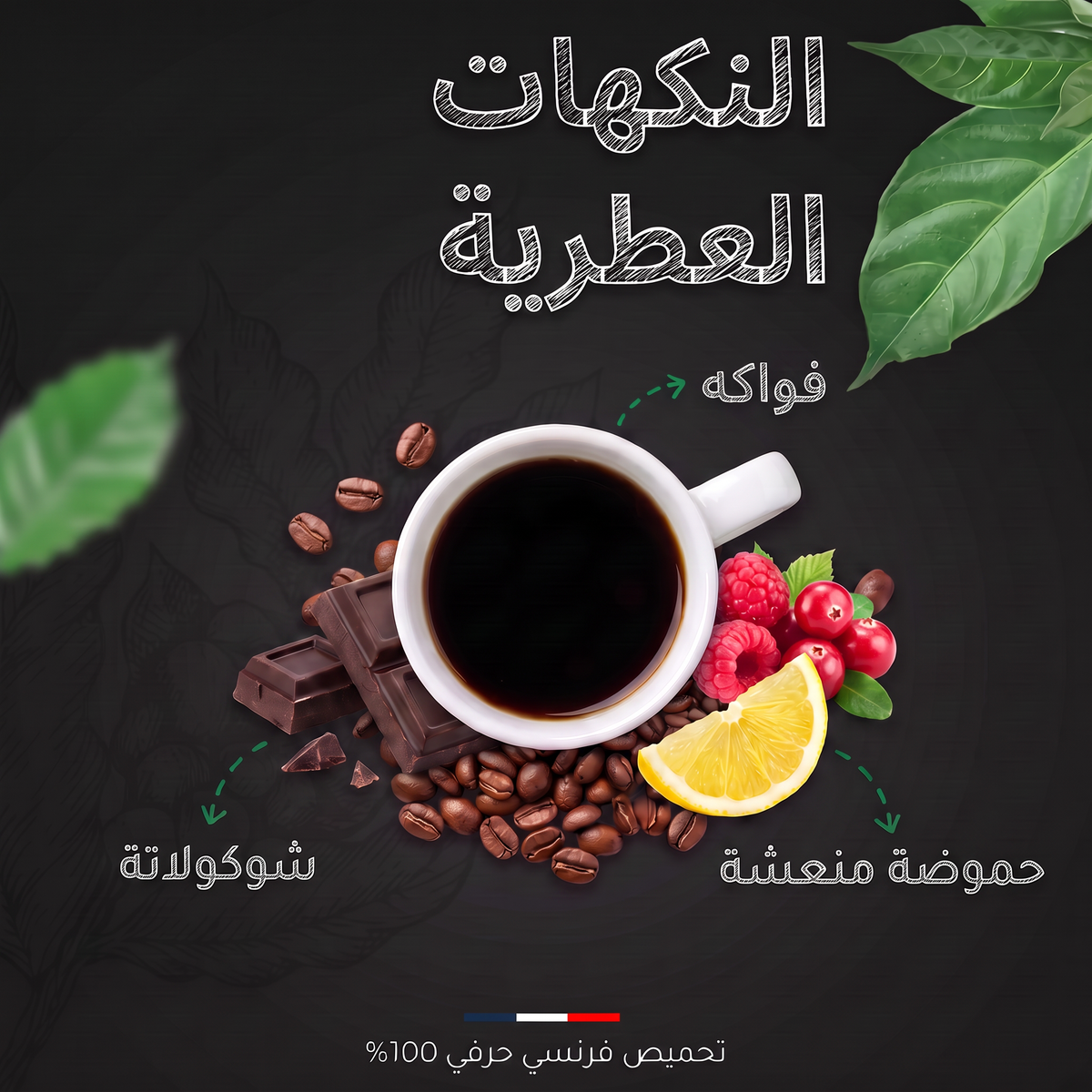 النكهات العطرية لقهوة هندوراس SHB سانتا باربرا عضوية