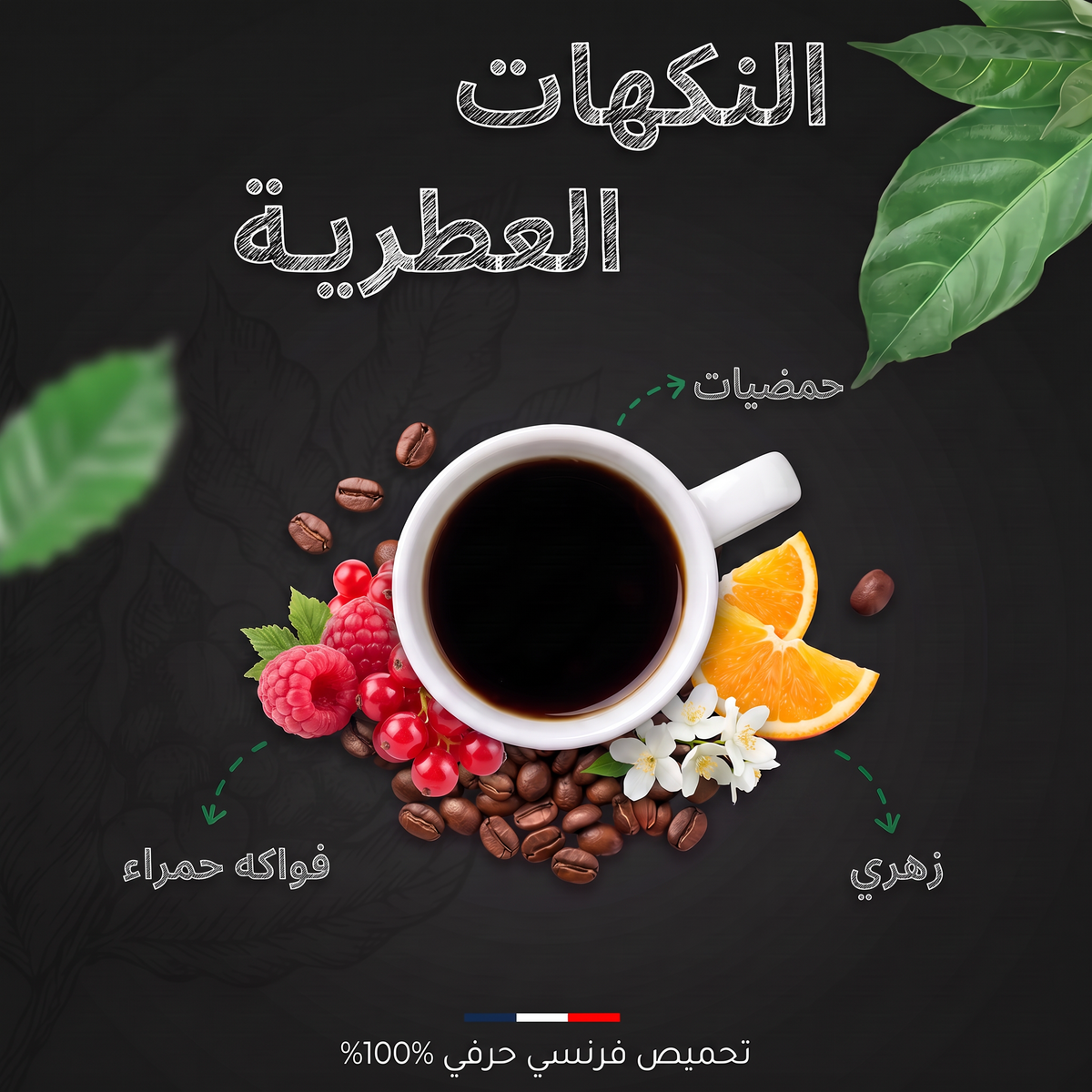 النكهات العطرية لقهوة كينيا AA
