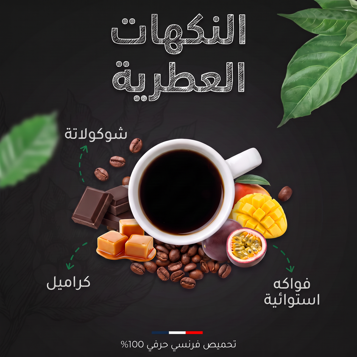 النكهات العطرية لقهوة نيكاراغوا SHG عضوية