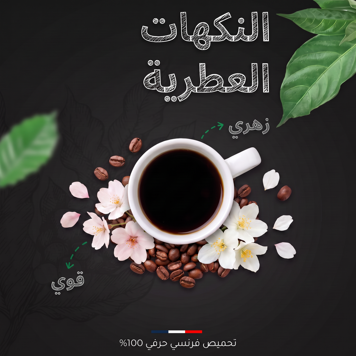النكهات العطرية لقهوة تنزانيا AA بوربون