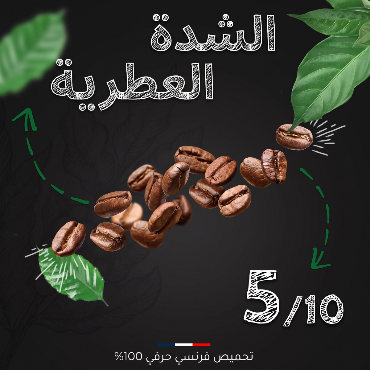 الشدة العطرية للقهوة: 5 من 10