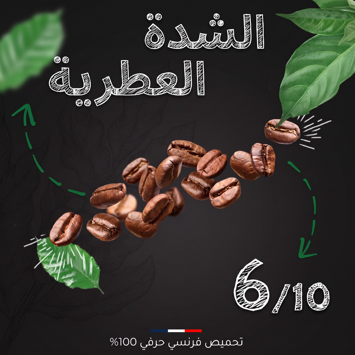 الشدة العطرية للقهوة: 6 من 10