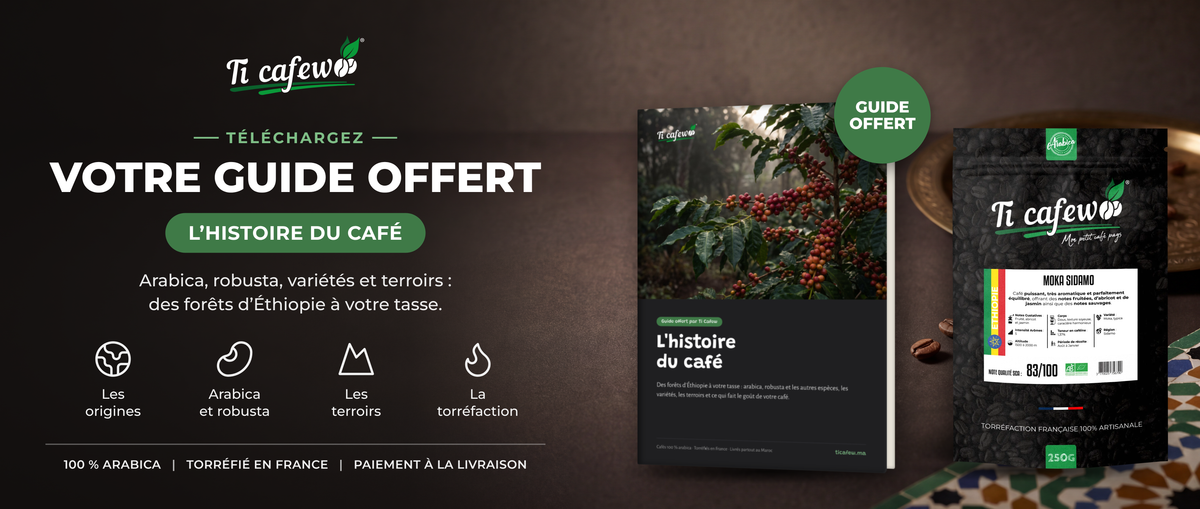 Votre guide offert : L'histoire du café