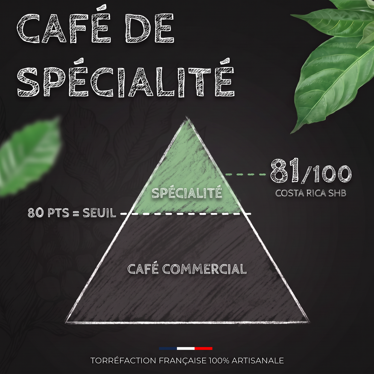 Note SCA du café Costa Rica SHB : café de spécialité