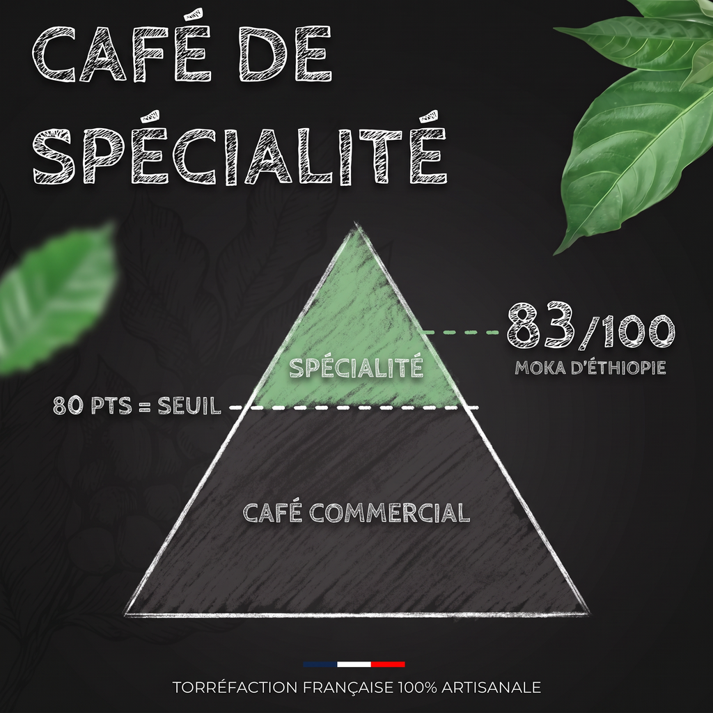 Note SCA du café Moka d'Éthiopie Sidamo BIO : café de spécialité