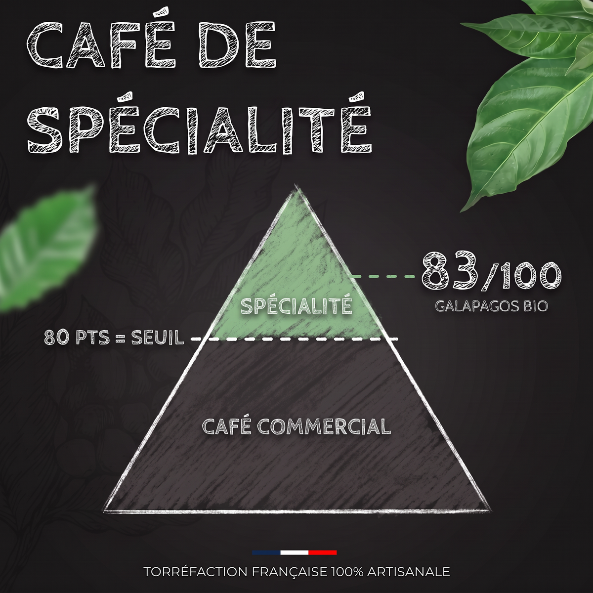 Note SCA du café San Cristobal des îles Galapagos BIO : café de spécialité