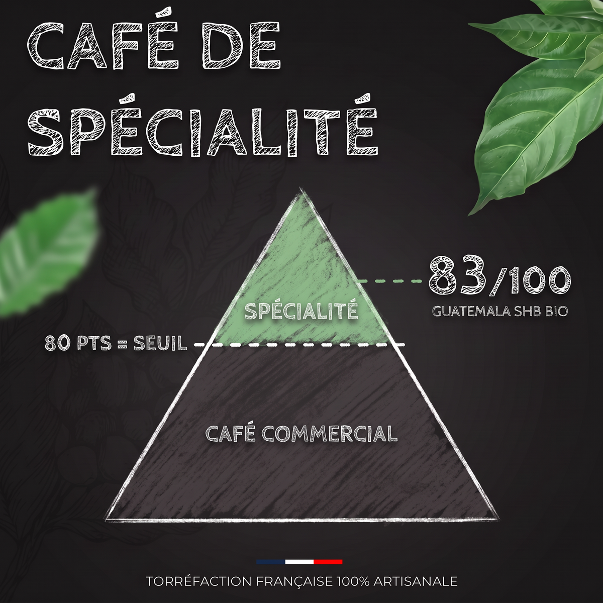 Note SCA du café Guatemala SHB BIO : café de spécialité