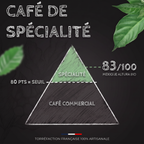 Note SCA du café Mexique Altura BIO : café de spécialité