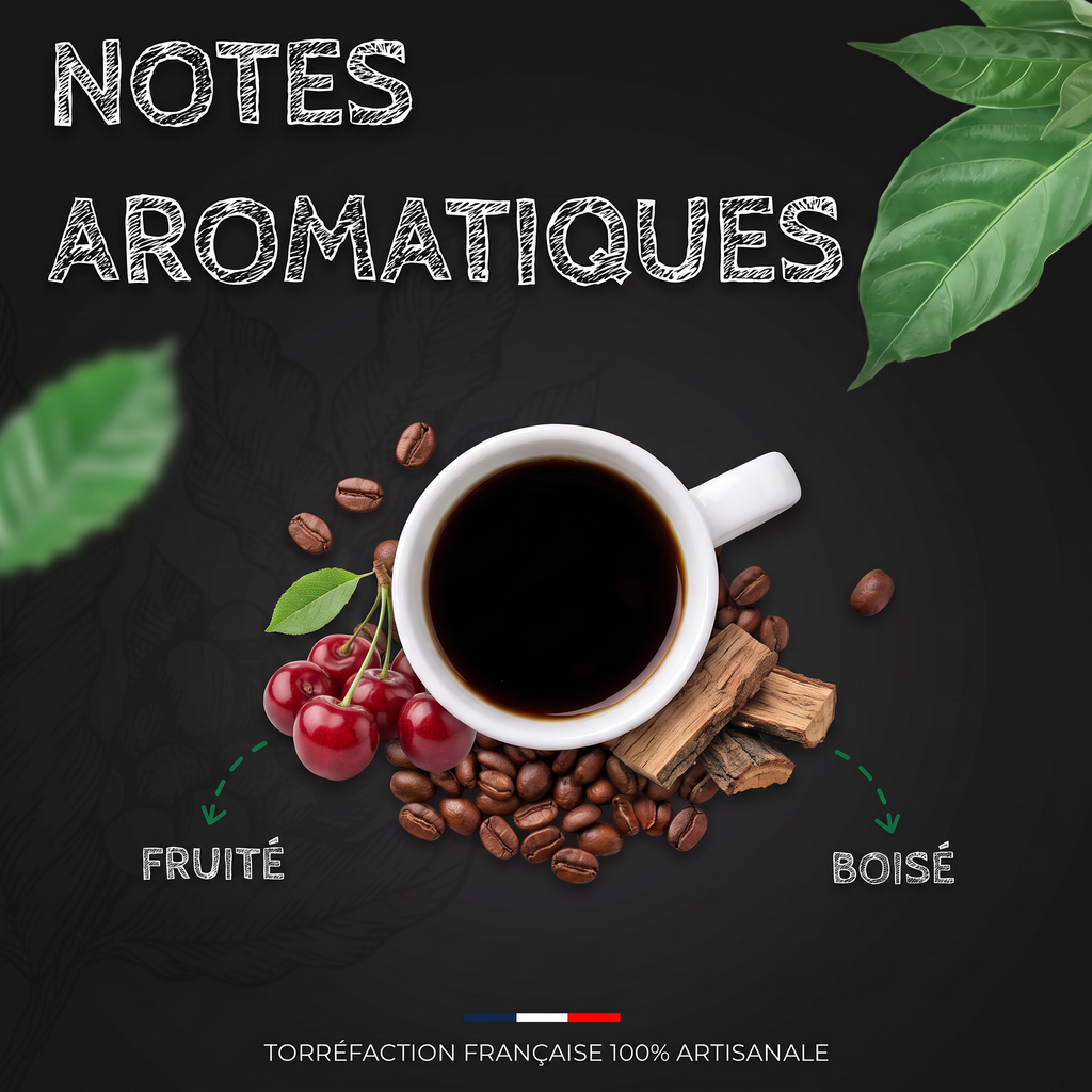 Notes aromatiques du café Brésil Santos