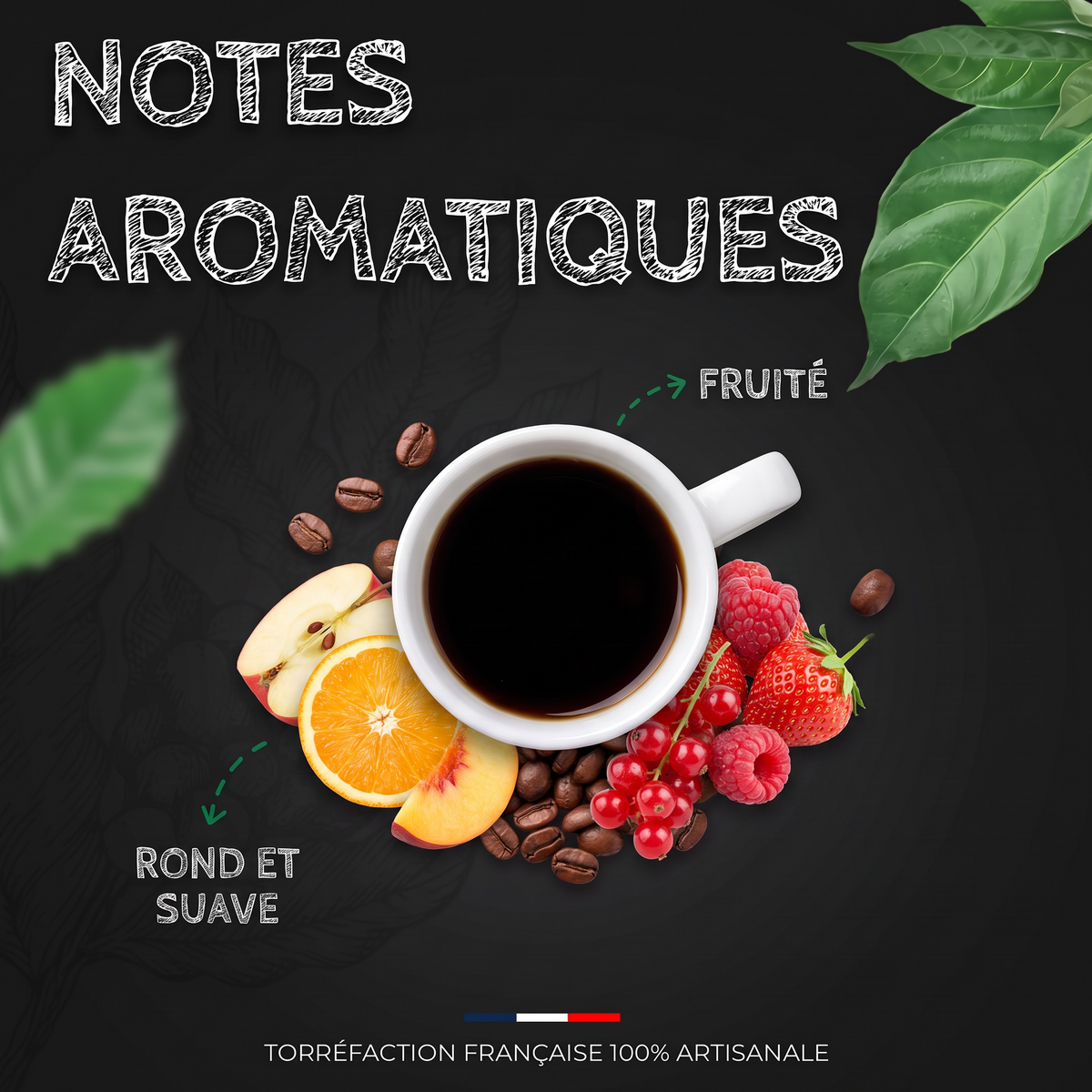 Notes aromatiques du café Colombie Excelso BIO