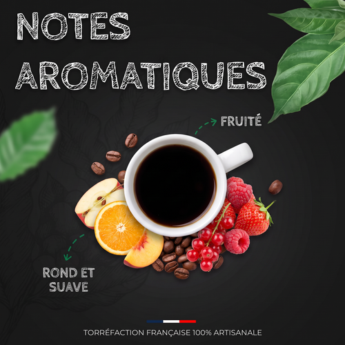 Notes aromatiques du café Colombie Excelso BIO