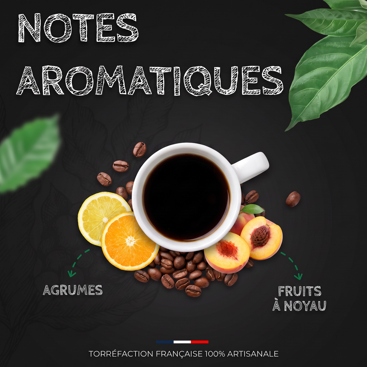 Notes aromatiques du café San Cristobal des îles Galapagos BIO
