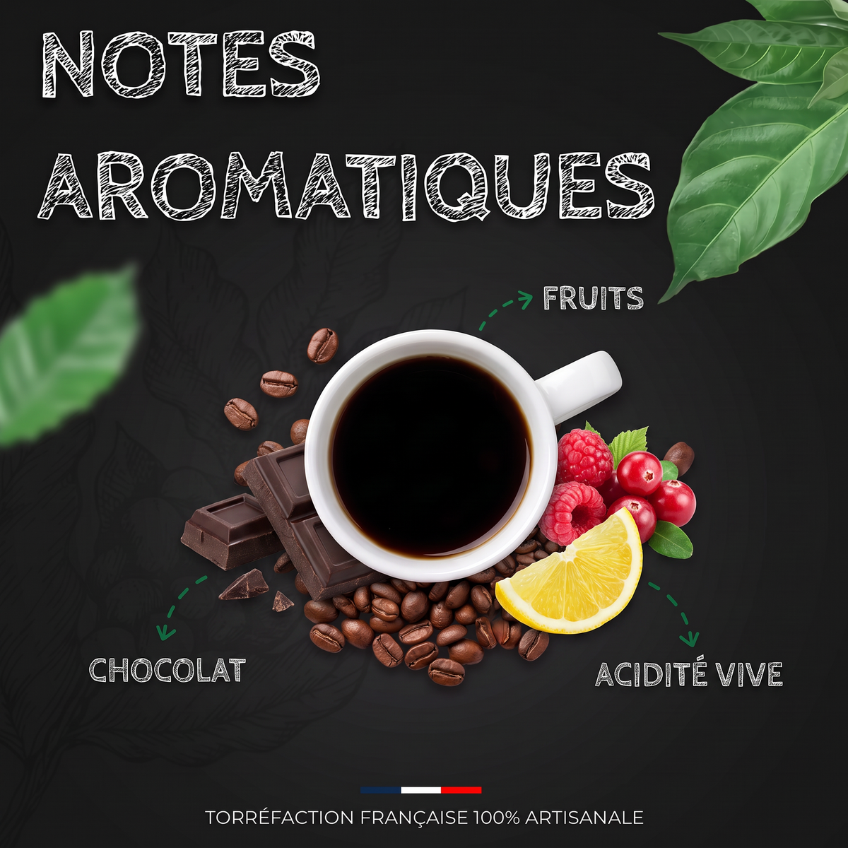 Notes aromatiques du café Honduras SHB Santa Barbara BIO