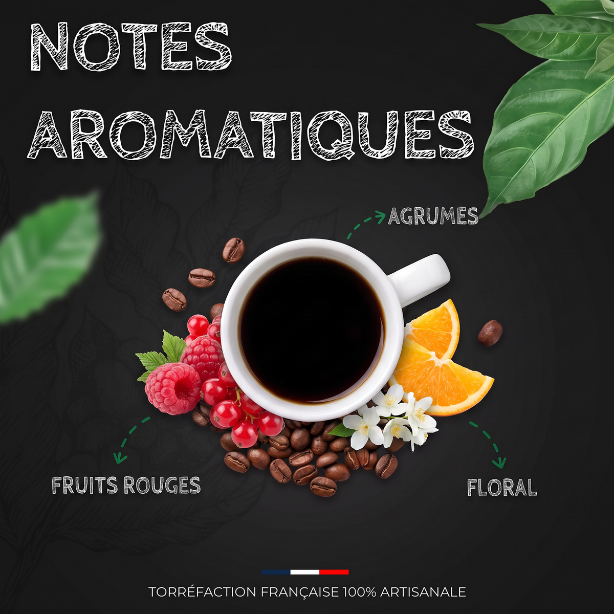 Notes aromatiques du café Kenya AA