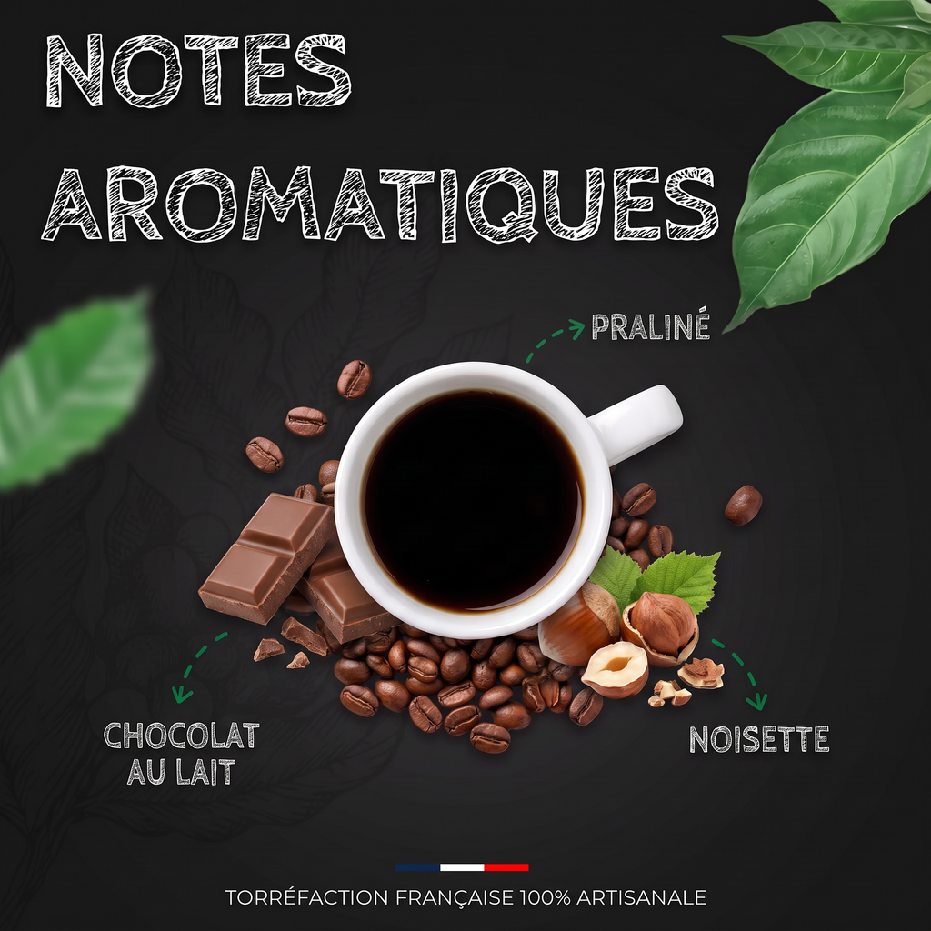 Notes aromatiques du café Mexique Altura BIO