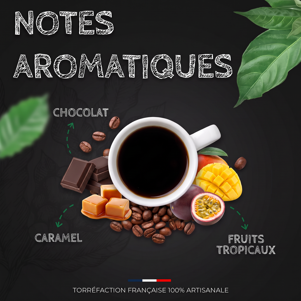 Notes aromatiques du café Nicaragua SHG BIO
