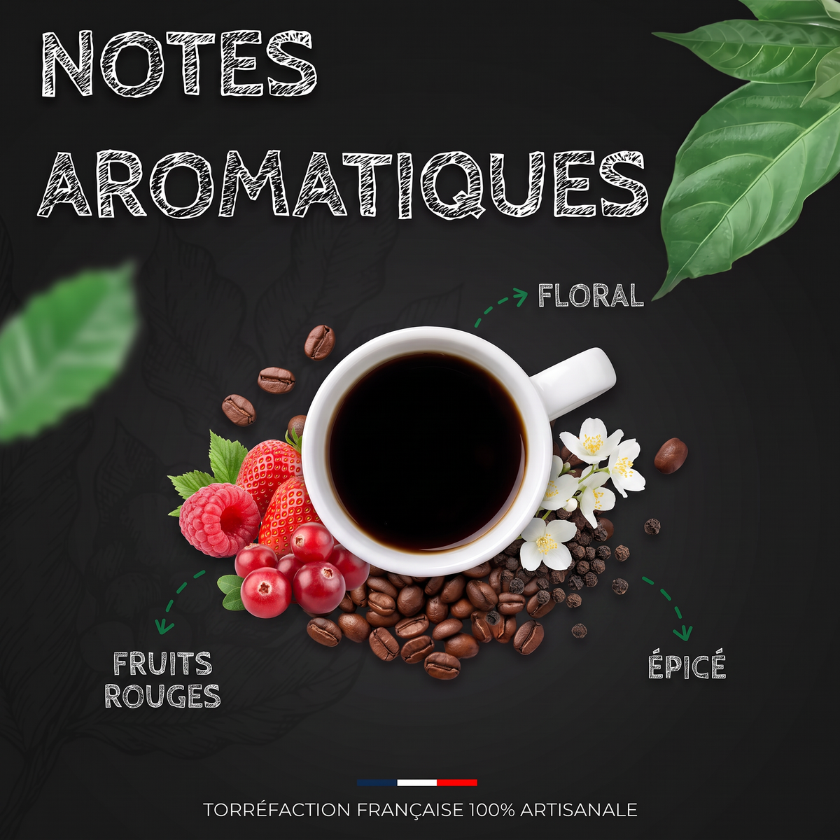 Notes aromatiques du café Sumatra Gayo Mountain BIO