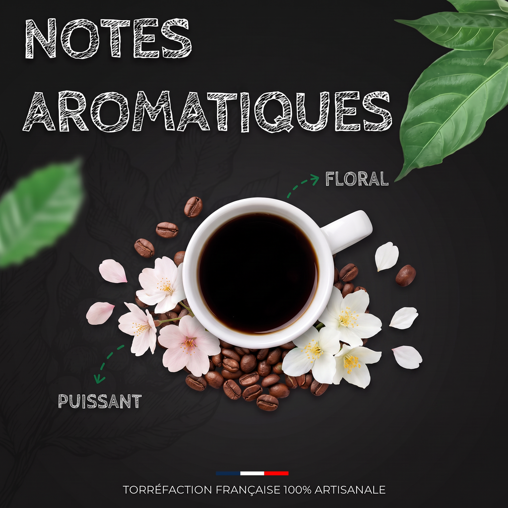 Notes aromatiques du café Tanzanie AA Bourbon